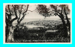 A895 / 385 06 - ANTIBES Panorama Vu A Travers Les Oliviers - Altri & Non Classificati