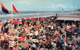 14 TROUVILLE   Le Bar Du Soleil  Les Planches Et La Plage     (Scan R/V) N°   30   \MR8041 - Trouville