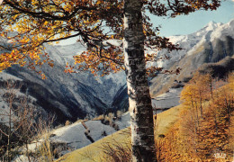 09   COUFLENS Le Couserans Vallée Du SALAT              (Scan R/V) N°    21     \MR8036 - Autres & Non Classés