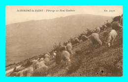A895 / 559 58 - SAINT HONORE LES BAINS Paturage Au Mont Genievre ( Mouton ) - Autres & Non Classés