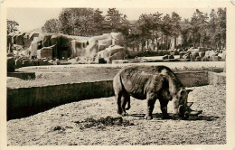 75* PARIS  Bois De Vincennes – Parc Zoo -   Rhinoceros RL29,1185 - Parks, Gärten