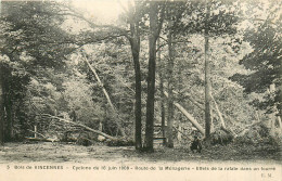 75* PARIS  Bois De Vincennes –   Cyclone – Route De La Menagerie  RL29,1176 - Parks, Gärten