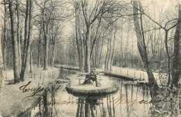 75* PARIS  Bois De Vincennes –   Le Cours De L Eau  RL29,1153 - Parks, Gärten