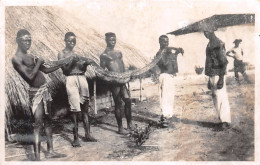 GUINEE Française Vialla Tenaille Capture Serpent BOA  Poto-poto Coyah     (Scan R/V) N°    30     \MR8054 - Frans Guinee