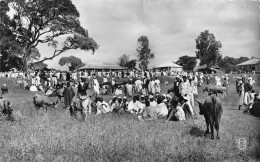 GUINEE CONAKRY   Dalaba Le Marché Aux Bestiaux        (Scan R/V) N°    25   \MR8053 - Guinea Francese