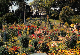 14 CAEN   Le Jardin Des Plantes      (Scan R/V) N°    12   \MR8047 - Caen