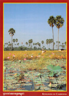 CAMBODGE Cambodia  Rizière ព្រះរាជាណាចក្រកម្ពុជា  Preăhréachéanachâkr Kâmpŭchéa  (Scan R/V) N°   52   \MR8057 - Cambodja
