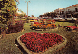 11 NARBONNE-PLAGE  Les Parterres Fleuris Du Boulevard Central     (Scan R/V) N°   15   \MR8079 - Narbonne