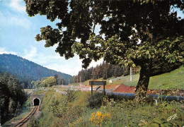 15 LE LIORAN     Tunnel Du Chemin De Fer SNCF Et La Route              (Scan R/V) N°   6   \MR8077 - Other & Unclassified