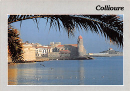 66 COLLIOURE    La Baie Et L'église                (Scan R/V) N°   14   \MR8076 - Collioure