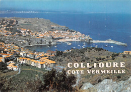 66 COLLIOURE    Vue Panoramique                     (Scan R/V) N°   11   \MR8076 - Collioure