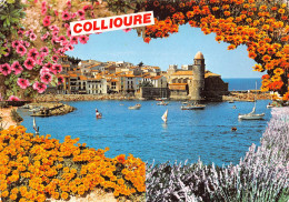 66 COLLIOURE    église Des Anges Et La Baie                     (Scan R/V) N°   10   \MR8076 - Collioure