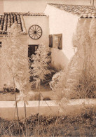 17  Île De Ré  LE MORINAND Maison Réthaise De  De René DAUCHEZ       (Scan R/V) N°  55   \MR8075 - Ile De Ré