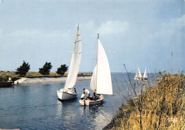 17  Île De Ré   ARS En Ré  Le Chenal    (Scan R/V) N°  46   \MR8075 - Ile De Ré