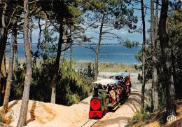 17 Oléron Saint-Trojan-les-Bains  Le Petit Train TRAMWAY                 (Scan R/V) N°  6   \MR8075 - Ile D'Oléron