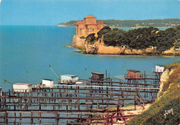 17  TALMONT SUR GIRONDE  Pêcheries Cabannes Tchanquées Et Sainte Radegonde Vue Sur Meschers (Scan R/V) N°   39   \MR8074 - Autres & Non Classés