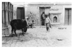 NEPAL KATMANDOU SHARMA Placette Swayambhu à Dhalko Année 1984  Katmandhu  Katmandu N°  18   \MR8073 - Népal