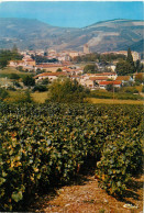 69    SALLES EN BEAUJOLAIS   Vue Générale          (scan R/V)  N°  21  \ MR8086 - Autres & Non Classés