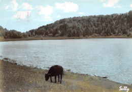 15  SAINT-ETIENNE-DE-CHOMEIL Le Lac Du Mont De Bélier     (Scan R/V) N°   42    \MR8083 - Autres & Non Classés