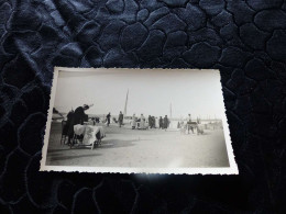 P-228  ,  Photo, Port Du Croisic , Marché Breton Aux Dentelles, 1935 - Luoghi