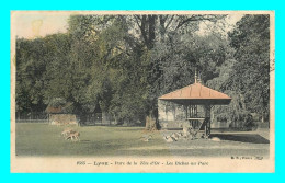 A884 / 545 69 - LYON Parc De La Tete D'Or Les Biches Au Parc - Other & Unclassified