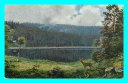 A881 / 589 ILLUSTRATEUR Paysage - Un Lac ( Légende à Déchifrer ) - Andere & Zonder Classificatie
