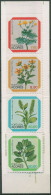 Portugal - Azoren 1981 Blumen Markenheftchen MH 1 Postfrisch (C98420) - Azoren