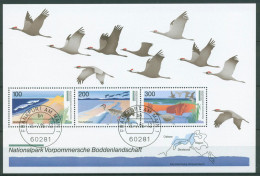 Bund 1996 Vorpommersche Boddenlandschaft Block 36 Gestempelt (C98732) - Sonstige & Ohne Zuordnung