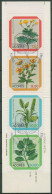 Portugal - Azoren 1981 Blumen Markenheftchen MH 1 Gestempelt (C98453) - Azoren