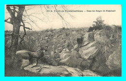 A875 / 355 77 - Foret De FONTAINEBLEAU Dans Les Gorges De Franchard ( Cerf ) - Fontainebleau