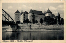 Torgau Elbe - Schloss Hartenfels - Torgau