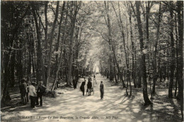 Chantilly - Le Bois Bourillon - Sonstige & Ohne Zuordnung