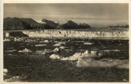 Spitzbergen - Königsbucht - Norvège