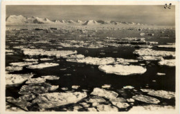 Spitzbergen - Treibeis In Der Königsbucht - Norvège