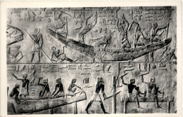 Egypt - Tomb Of Ti - Other & Unclassified