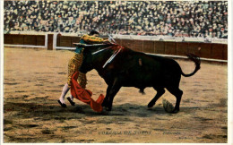 Corrida De Toros - Stierkampf - Corrida