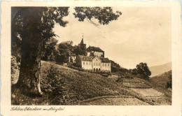 Schloss Eberstein Im Murgtal - Gernsbach