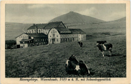 Riesengebirge - Wiesenbaude - Böhmen Und Mähren