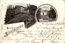 Gruss Vom Schweizerhaus Im Schwarzathal - Litho - Saalfeld