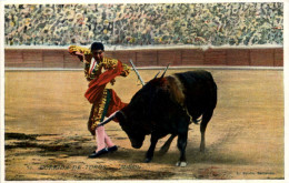 Corrida De Toros - Stierkampf - Corrida