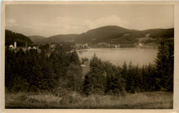 Titisee - Titisee-Neustadt