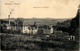 Heilstätte Hohwald, Neustadt I. Sa., Gesamansicht Mit Fernblick - Sonstige & Ohne Zuordnung