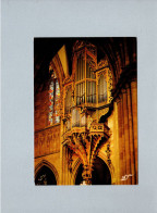 Strasbourg (67) : La Cathédrale - L'orgue - Strasbourg