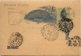 Brazil - Ganzsache 1895 - Other & Unclassified