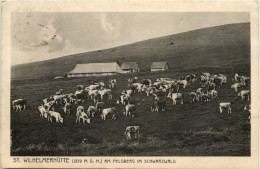 Feldberg I. Schwarzwald, St. Wilhelmerhütte - Feldberg