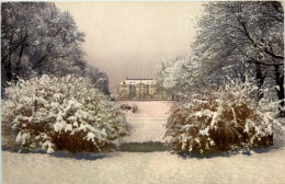 Dresden, Der Grosse Garten Im Winter - Dresden