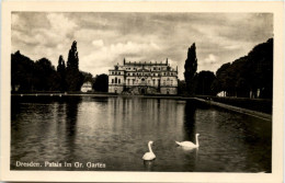 Dresden, Kgl. Grosser Garten, Palais Und Teich - Dresden