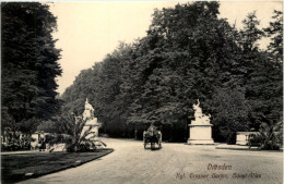 Dresden, Kgl. Grosser Garten, Haupt-Allee - Dresden