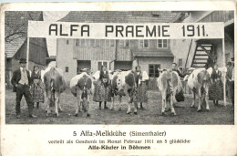 Alfa Käufer In Böhmen - Kühe - Böhmen Und Mähren