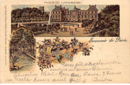 PARIS - Souvenir De Paris - Palais Du Luxembourg - Très Bon état - Arrondissement: 06